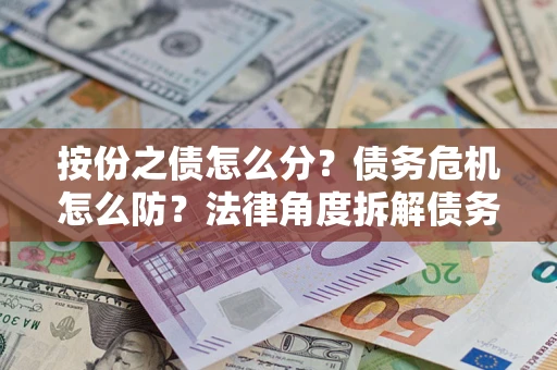 武汉按份之债怎么分？债务危机怎么防？法律角度拆解债务分配与风险自保指南