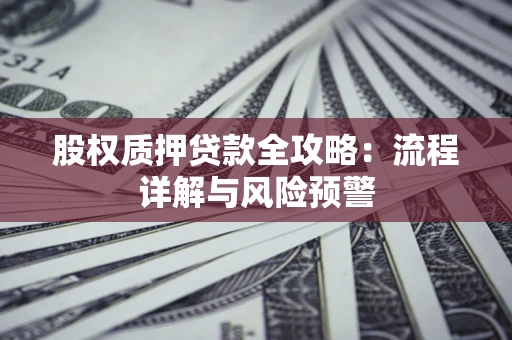 武汉股权质押贷款全攻略：流程详解与风险预警