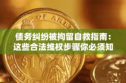 武汉债务纠纷被拘留自救指南：这些合法维权步骤你必须知道！