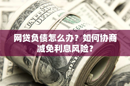武汉网贷负债怎么办？如何协商减免利息风险？