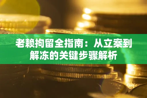 武汉老赖拘留全指南：从立案到解冻的关键步骤解析