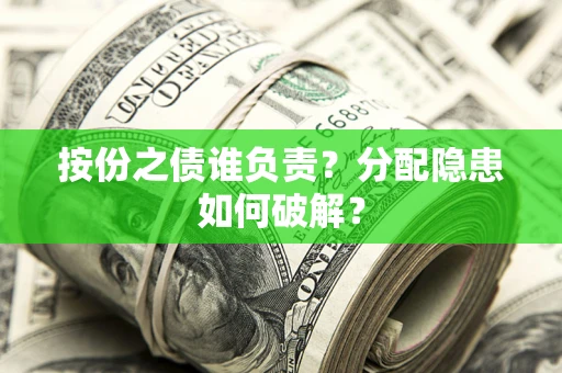 武汉按份之债谁负责？分配隐患如何破解？