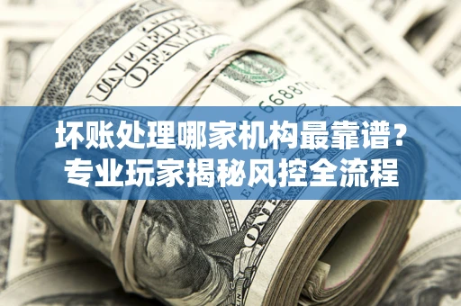 武汉坏账处理哪家机构最靠谱？专业玩家揭秘风控全流程