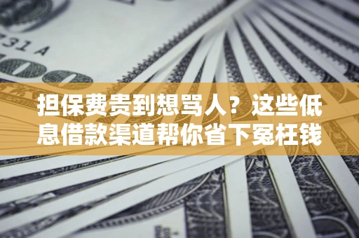 武汉担保费贵到想骂人？这些低息借款渠道帮你省下冤枉钱