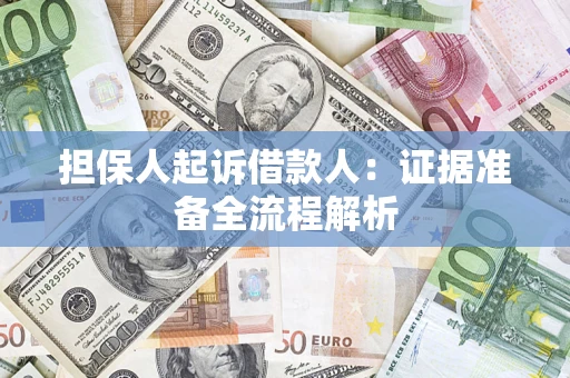 武汉担保人起诉借款人：证据准备全流程解析