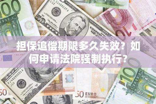 武汉担保追偿期限多久失效？如何申请法院强制执行？