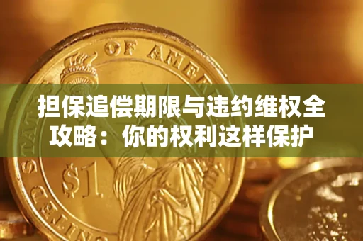 武汉担保追偿期限与违约维权全攻略：你的权利这样保护