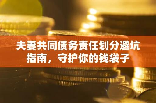武汉夫妻共同债务责任划分避坑指南，守护你的钱袋子
