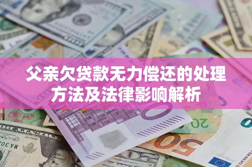 武汉父亲欠贷款无力偿还的处理方法及法律影响解析
