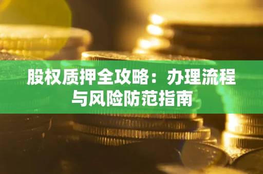 武汉股权质押全攻略：办理流程与风险防范指南