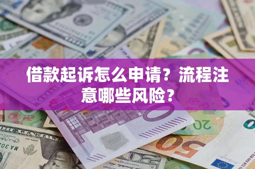 武汉借款起诉怎么申请？流程注意哪些风险？